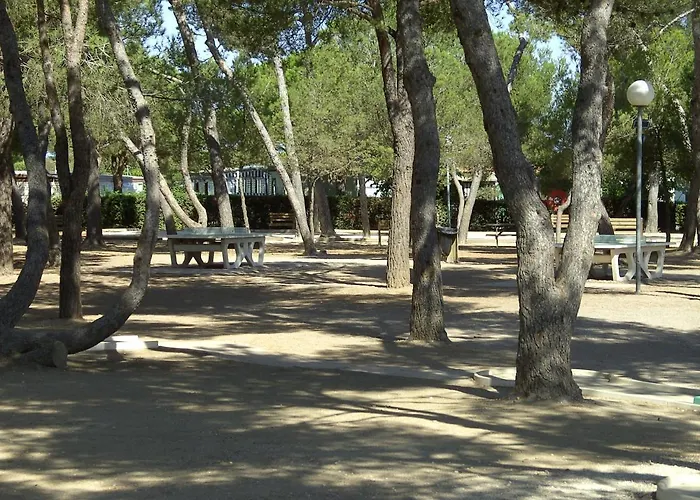 Mobil 3ch 2sdb A Lattes